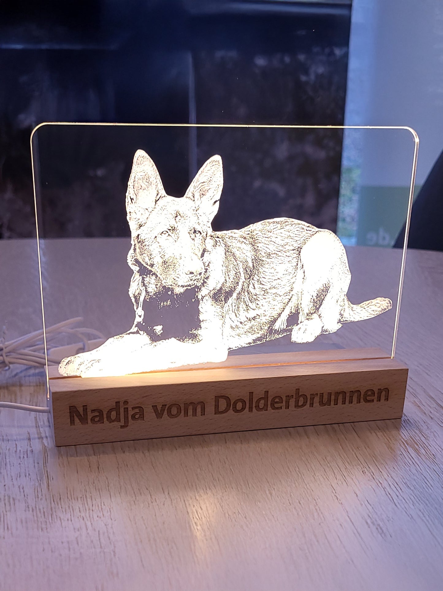 LED-Schild mit individuellem Hundebild
