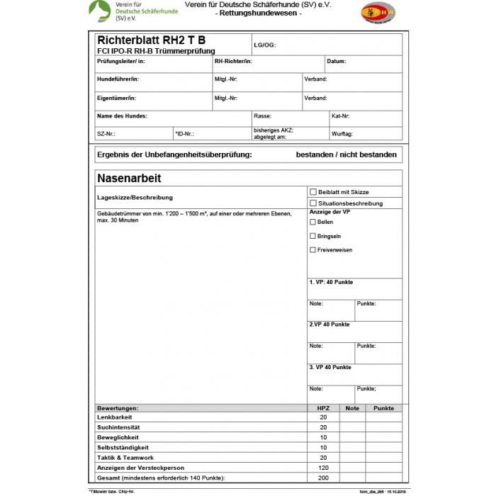 Richterblatt "RH 2 - Trümmer B"
