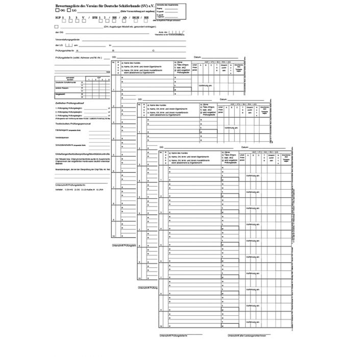 Bewertungsliste "Satz"