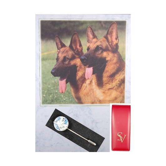 Ehrenabzeichen mit Blanko-Urkunde