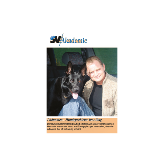 Phänomen-Hundeprobleme im Alltag