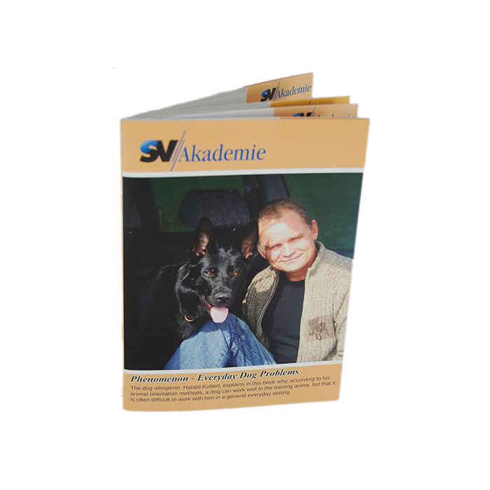 Phenomenon - Everyday Dog problems