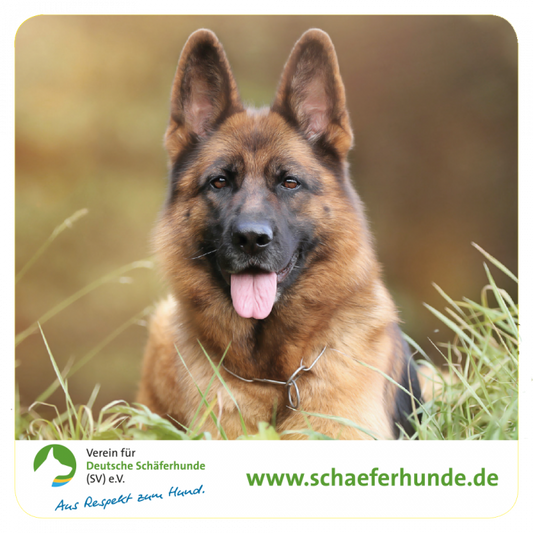 Aufkleber "Verein für Deutsche Schäferhunde (SV) e.V. - Motiv Kopfbild"