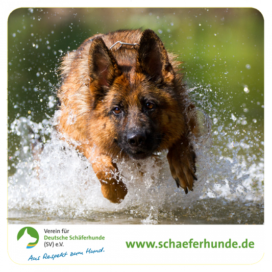 Aufkleber "Verein für Deutsche Schäferhunde (SV) e.V. - Motiv Wasser"
