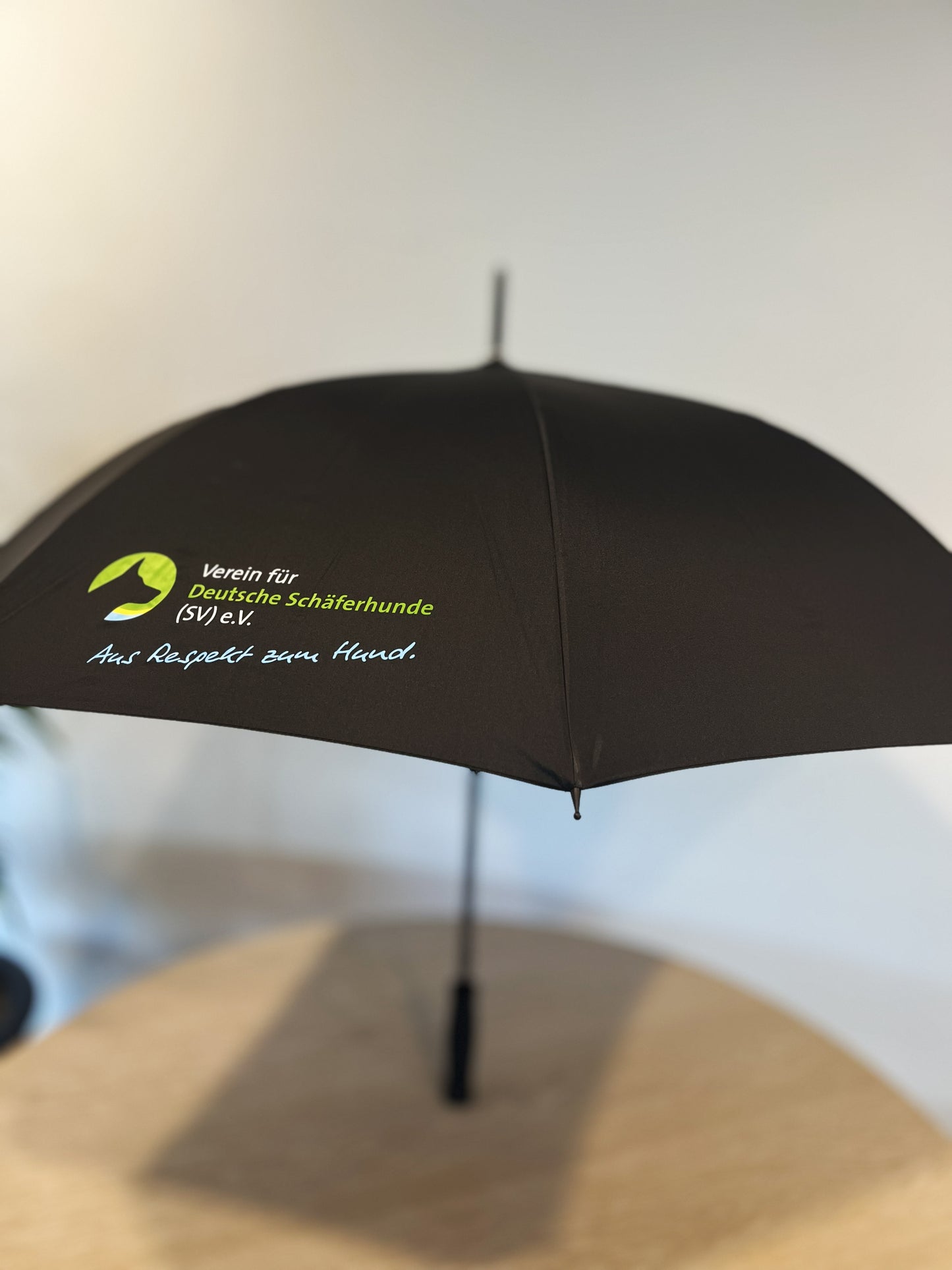 SV-Regenschirm