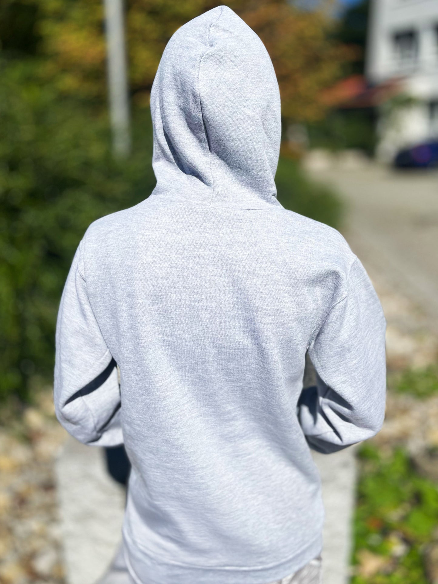 SV-Hoodie (Grau)